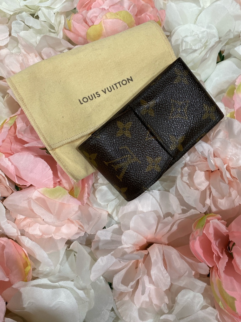 Louis Vuitton Monogram Case